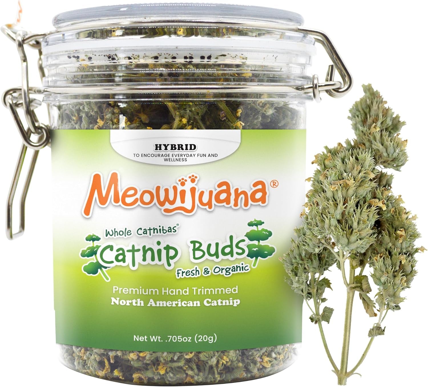 meowijuana-catnibas-catnip-pawty-mix-jar-high-potency-catnip-blend-organic-hand-harvested-north-american-catnip-blend-for-cats-fine-ground-for-toys-beds-scratchers-play-or-calm