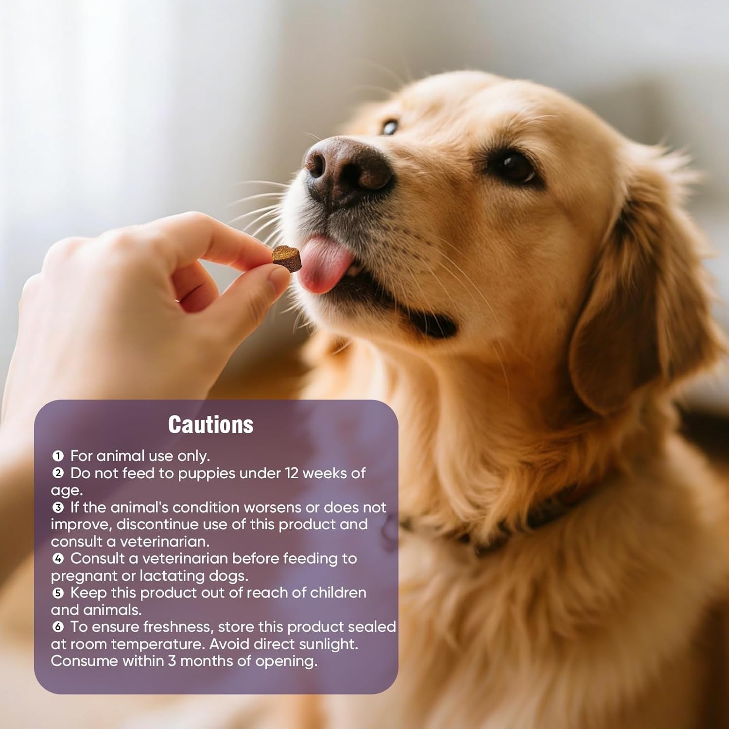 dog-allergy-chews-200ct-dog-allergy-and-itching-skin-relief-anti-itch-aller-immune-bites-for-dogs-licking-paws-treatment-relief-itchy-chew-probiotics-vitamins-for-skin-and-coat-allergies-lamb-probiotics-vitamins-bites-for-dogs-licking-paws-anti-itch-treatments-to-soothe-allergies-support-healthy-coat-health