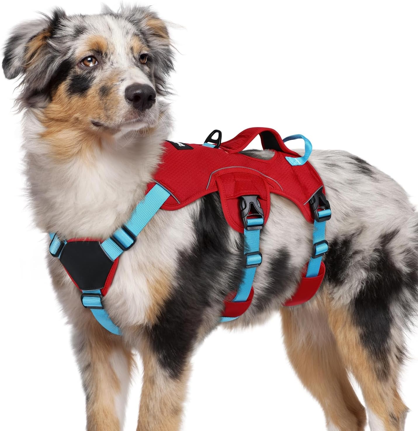 rabbitgoo-escape-proof-dog-harness-for-large-no-pull-with-lift-handle-no-escape-full-soft-padded-reflective-adjustable-vest-leash-clip-for-walking-hiking-training-black-large
