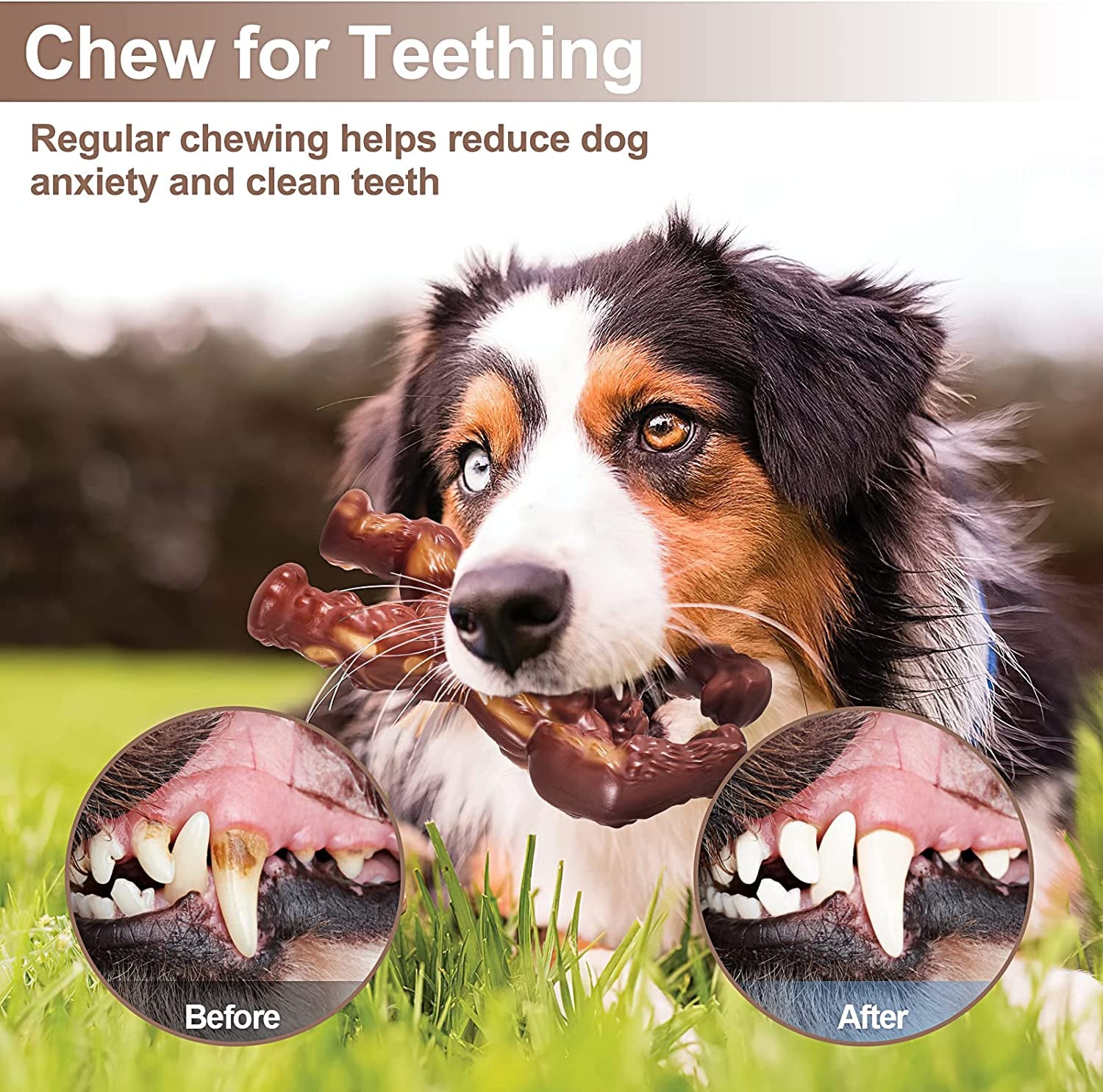 petsta-indestructible-dog-toys-for-aggressive-chewers-extreme-tough-toys-for-large-dogs-real-beef-flavored-dog-bone-for-medium-large-dogs-breed-gifts-for-dogs