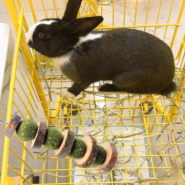 3 Pcs Bunny Chew Toys, Rabbit Chew Toys | for Teeth Grinding, Natural Organic Apple Wood Stick for Improve Rabbits Guinea Pigs Hamsters Dental Health4
