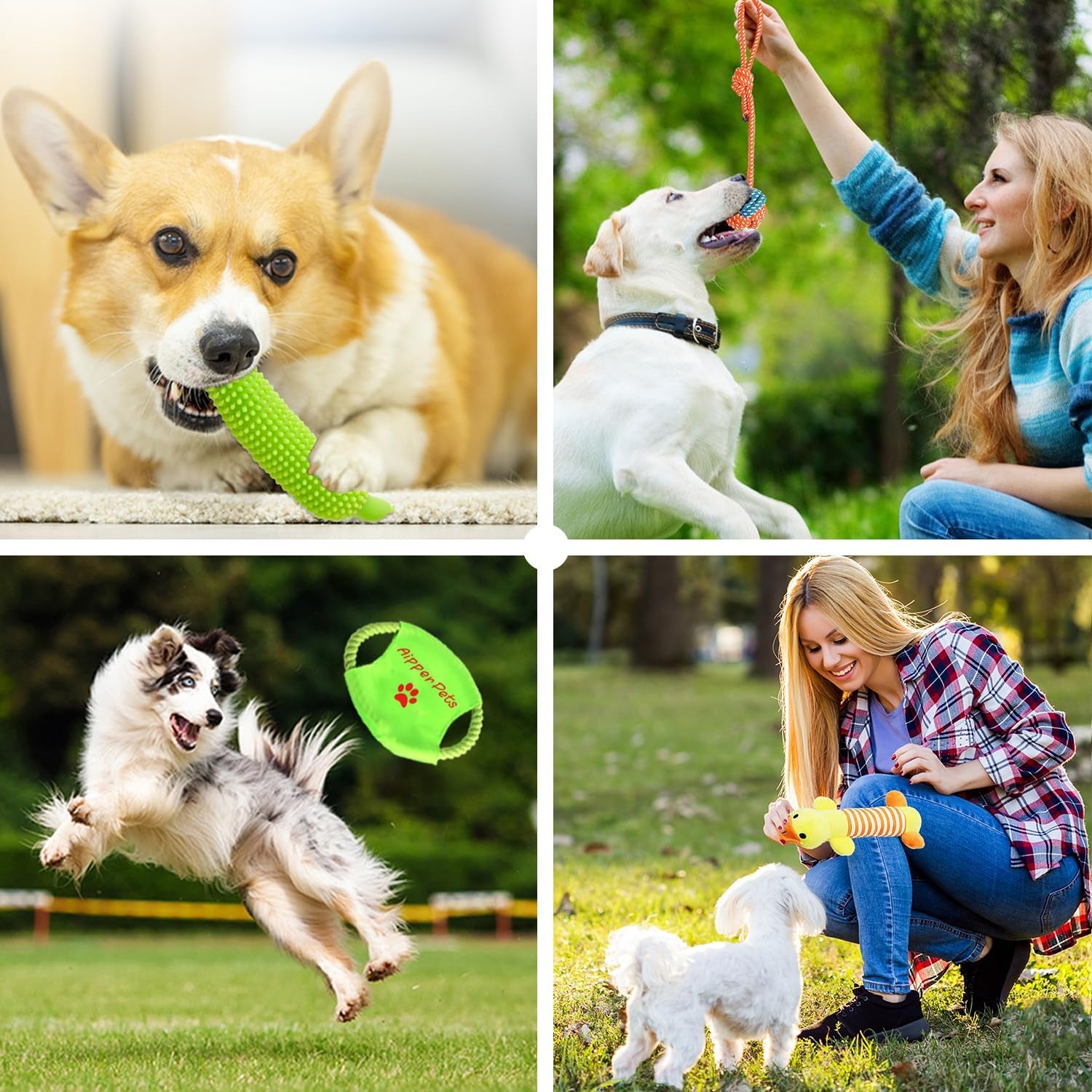aipper-dog-toys-25-pack-for-fun-and-teeth-cleaning-puppy-chew-toys-pack-with-squeak-plush-toy-squeaky-toy-balls-tug-of-war-and-rope-toys-for-puppy-to-small-dogs
