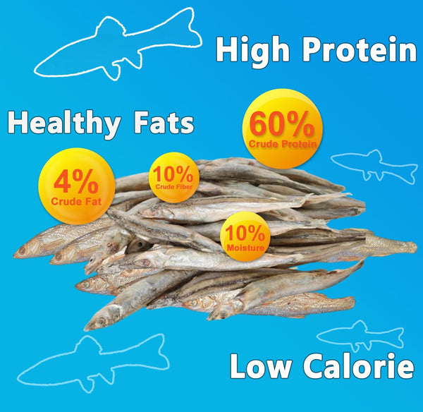 Amzey 7Oz Minnows Dog Treats - Freeze Dried Minnows Cat Treats - High Protein & Premium Quality Training Treats - Bulk Package (1.6" to 2.8" Length Each)3