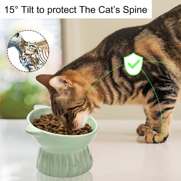 Elevated Cat Food Bowl,8 Oz Ceramic Raised and Tilted Water Bowl,Anti Vomiting and Protect Pets Spines Dishes for Fat Faced Cat, Indoor Cats,Kitten,Small Dog (White)3