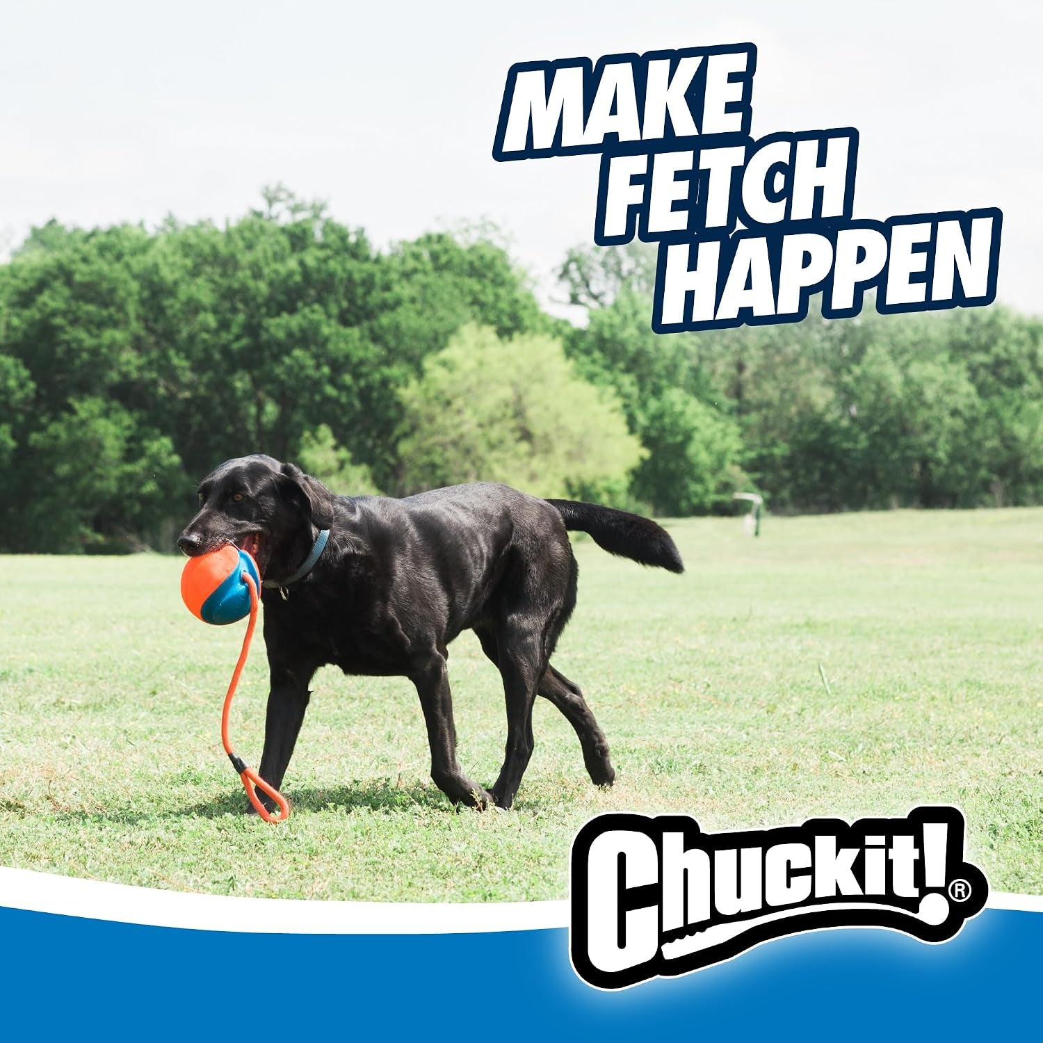 chuckit-rope-fetch-dog-toy-ball-on-rope-fetch-and-tug-of-war-toy-for-dogs-durable-eva-rubber-construction-5-5-inch-diameter-18-inch-rοpe-orange-and-blue