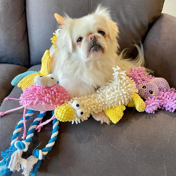 Nocciola 5 Packs Squeaky Dog Toy Plushies, Cute Soft Squeak Crinkle Plush Stuffed Durable Pet Animal Chew Puppy Toys for Small Meidum Large Breed8