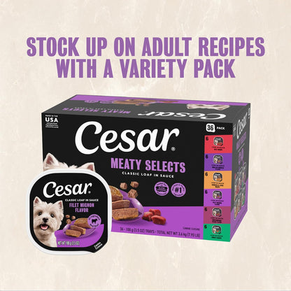 Cesar Classic Loaf in Sauce Wet Dog Food, Filet Mignon, 3.5 Oz, 24 Count | Made in USA, Real Beef #1 Ingredient, No Fillers/Added Sugar/Artificial Flavors, Use as Meal or Topper, Easy Peel Trays12
