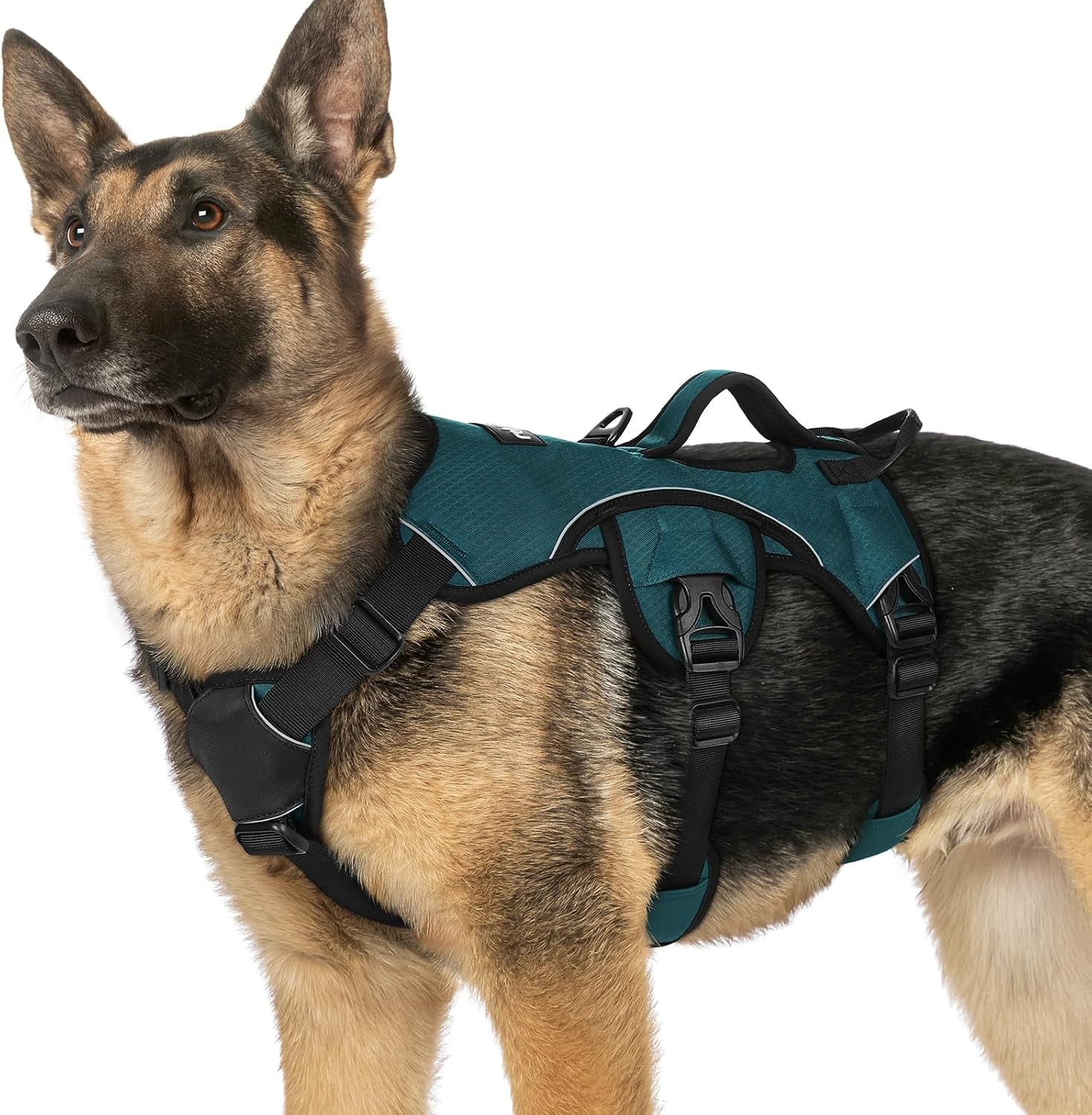 rabbitgoo-escape-proof-dog-harness-for-large-no-pull-with-lift-handle-no-escape-full-soft-padded-reflective-adjustable-vest-leash-clip-for-walking-hiking-training-black-large