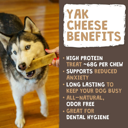 Mighty Paw Yak Chews, Long Lasting Hard Chew for Large Dogs, 4 Pack | Milk, Salt & Lime Juice, Grain-Free, Lactose-Free, Odor-Free, 68G Protein per Stick, Aggressive Chewers, Puppy Teething2