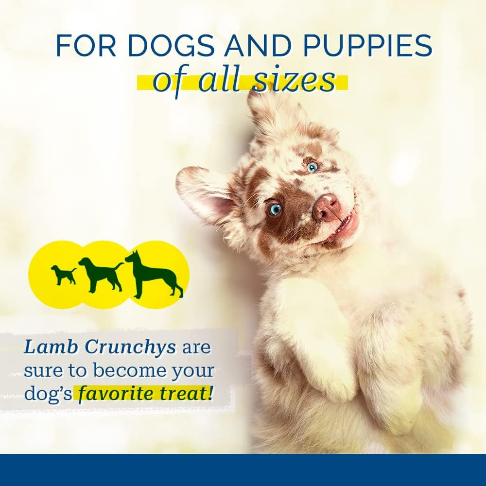 pci-pet-center-inc-lamb-crunchys-raw-dehydrated-lamb-dog-treats-16-oz-pack-made-in-usa-dog-treats-from-single-ingredient-lamb-lung-for-dogs-of-all-ages-can-be-used-for-training-or-daily-treats