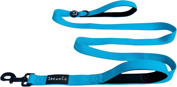 Shawnco Dream Walk Dog Leash- Premium, Nylon Pet Leash with Soft Neoprene Handle for Small, Medium and Large Dogs (ICY Lilac, M/L 6FT W/ 2 Handles)41