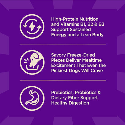 Wellness CORE+ Small Breed Adult Dry Dog Food with Freeze Dried Pieces, Grain Free Kibble+, Natural, High Protein, Turkey and Chicken Recipe, 4 Lb Bag6