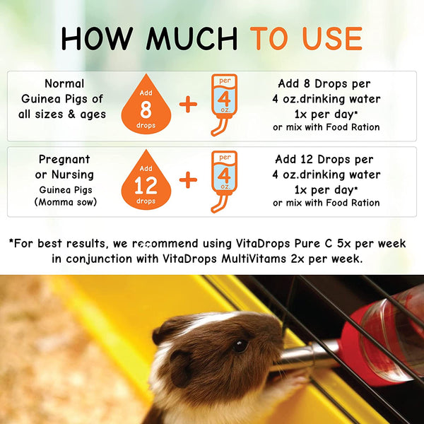 OASIS #80254 Vita Drops-Pure C for Guinea Pig, 2-Ounce, Packaging May Vary7