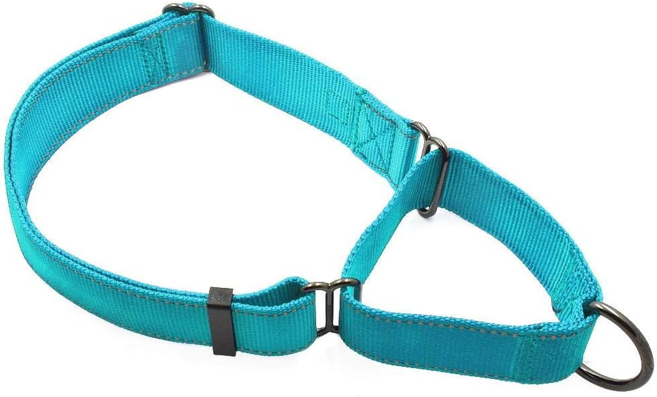max-and-neo-nylon-martingale-collar-we-donate-to-a-dog-rescue-for-every-collar-sold-medium-orange