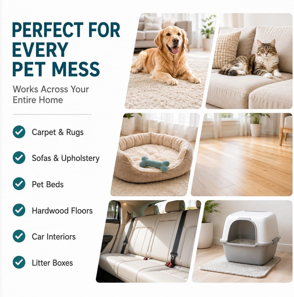 pet-stain-odor-remover-for-dogs-cats-bio-enzyme-cleaner-32oz-for-urine-vomit-accidents-eliminates-tough-odors-at-the-source-safe-for-carpet-furniture-floors-pet-beds