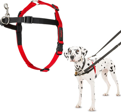 Halti Front Control Harness - Stop Your Dog Pulling on the Leash. Adjustable, Lightweight and Easy to Use. Anti-Pull Dog Training Harness for Medium Dogs (Size M) | Dog Harness to Stop Pulling on the Leash | Anti-Pull Training Aid | Front Leading No Pull Harness for Medium Dogs1