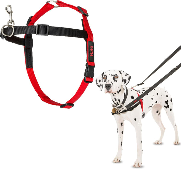 Halti Front Control Harness - Stop Your Dog Pulling on the Leash. Adjustable, Lightweight and Easy to Use. Anti-Pull Dog Training Harness for Medium Dogs (Size M) | Dog Harness to Stop Pulling on the Leash | Anti-Pull Training Aid | Front Leading No Pull Harness for Medium Dogs1
