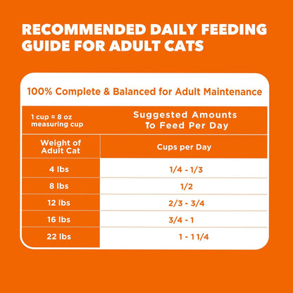 IAMS Proactive Health Healthy Adult Dry Cat Food, Salmon, 7 Lb | Veterinarian-Recommended, Real Salmon #1 Ingredient, Supports Muscle, Heart, Digestion, Skin & Teeth9