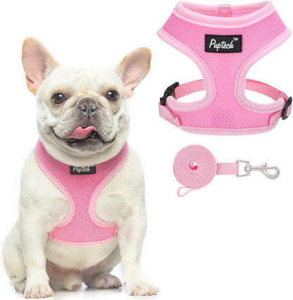 PUPTECK Soft Mesh Dog Harness Small Sized and Leash Set Pet Puppy Cat Comfort Padded Vest No Pull Harnesses, Beige, S82