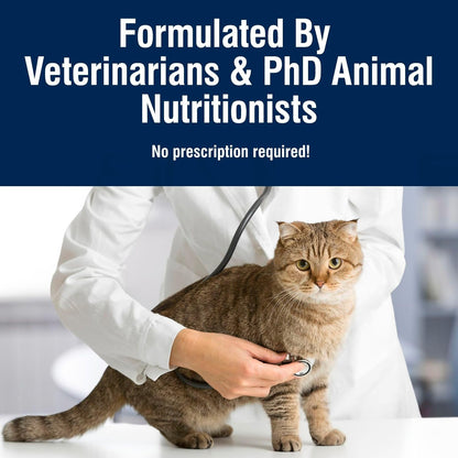 Blue Buffalo True Solutions Digestive Care Natural Dry Cat Food for Adult Cats, Chicken, 3.5-Lb. Bag8