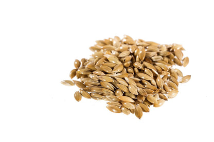 Raw Garden Canary Seed Alpiste, Silica Free for Human Consumption (4 Lbs) | 100% Silica-Free | Plant-Based Protein | Vegan Milk Alternative | Dietary Fiber5