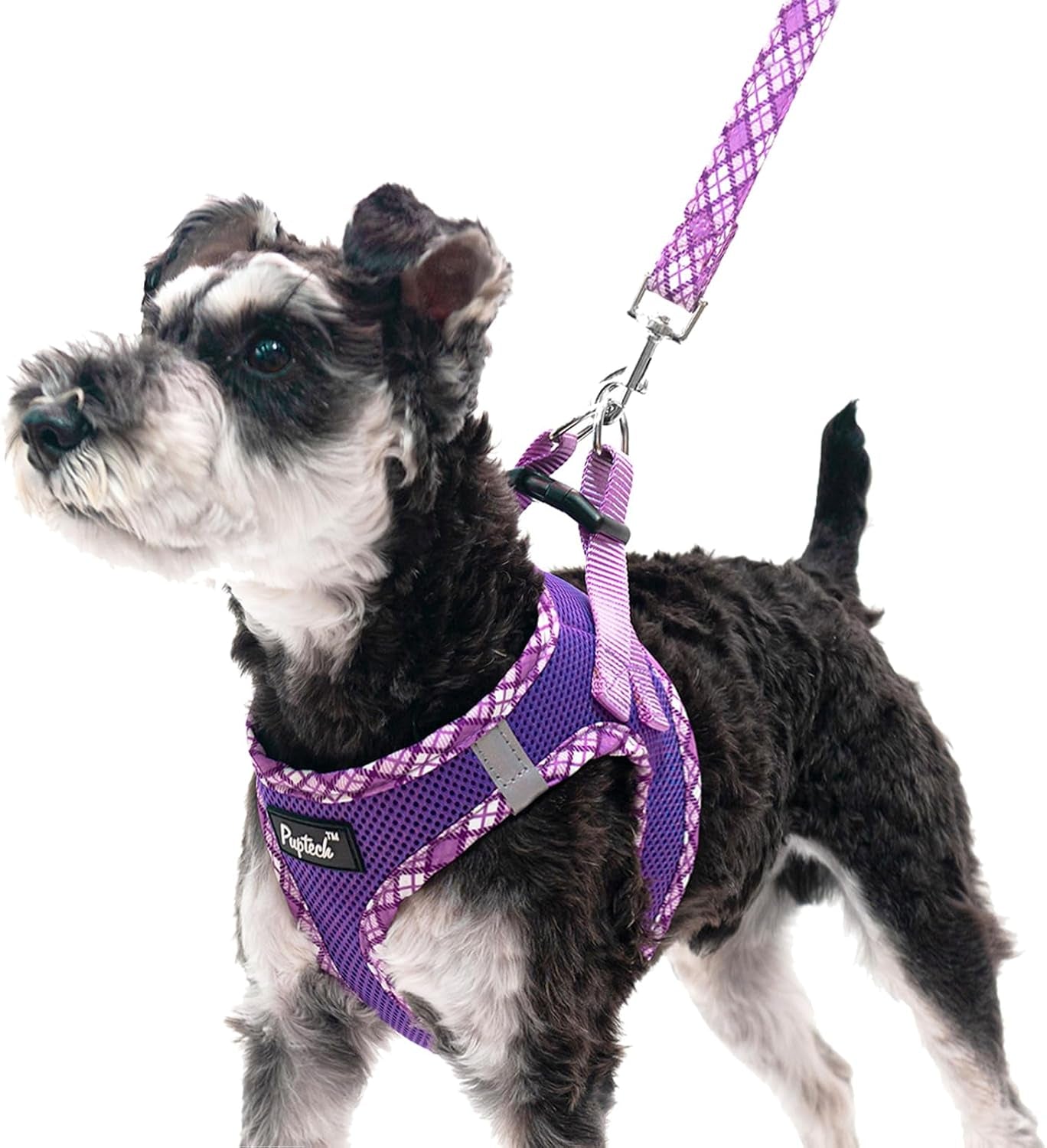 pupteck-dog-harness-and-leash-set-for-small-medium-dogs-no-pull-step-in-soft-mesh-puppy-cat-vest-harnesses-reflective-at-night-green-s