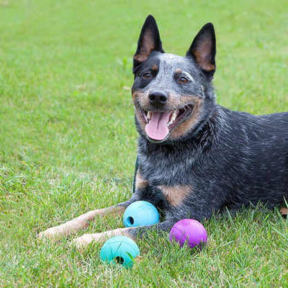 Chew King Fetch Balls Extremely Durable Natural Rubber Toy Pack of 3 - 3 Inch Balls (CM-0263-CS01)2