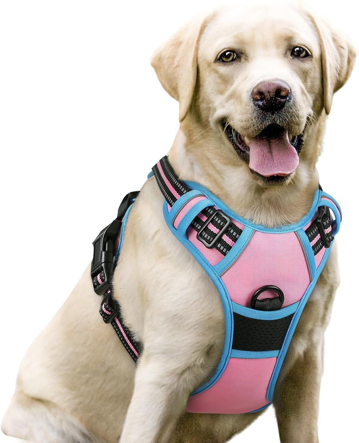 rabbitgoo-dog-harness-no-pull-for-large-dogs-with-2-leash-clips-pet-vest-no-choke-with-handle-adjustable-soft-padded-reflective-easy-control-for-walking-black-large