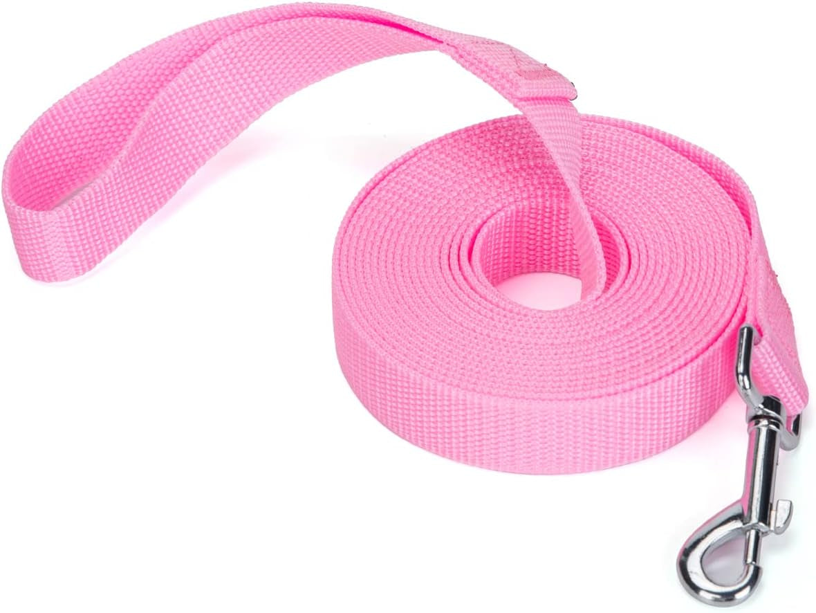 strong-durable-nylon-10ft-long-dog-training-leash-traction-rope-1-inch-wide-for-small-and-medium-dog-black-10-feet