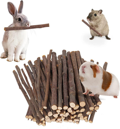700G Apple Sticks Molar Wood Treats, Rabbit Toys Chinchilla Guinea Pig Bunny Toys Wood Chews Sticks for Teeth Rabbit Food Guinea Pig Hamster Gerbil Chews Small Animals Snacks(200 Pcs)1