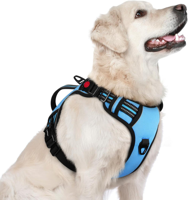 Rabbitgoo Large Dog Harness, Easy Wear with 3 Buckles and Lift Handle | No Pull with Front Clip for Walking, Adjustable Soft Padded, Reflective, Easy Control, Pink, Large36