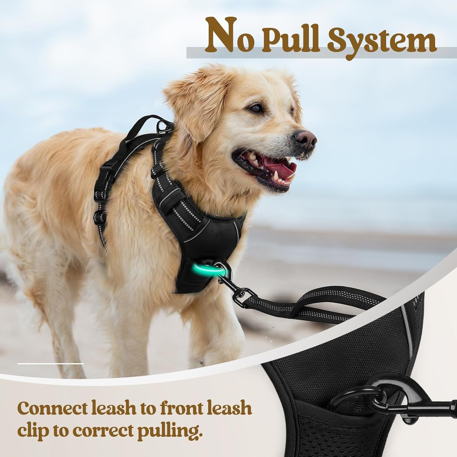 rabbitgoo-dog-harness-no-pull-for-large-dogs-with-2-leash-clips-pet-vest-no-choke-with-handle-adjustable-soft-padded-reflective-easy-control-for-walking-black-large
