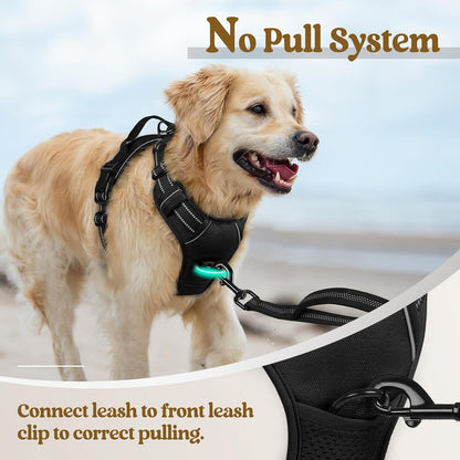 Rabbitgoo Dog Harness, No Pull for Large Dogs with 2 Leash Clips, Pet Vest | No Choke with Handle, Adjustable Soft Padded, Reflective, Easy Control for Walking, Black, Large5