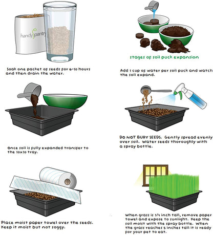 Handy Pantry Organic Cat Grass Kit - Includes 3 Trays, Soil Pucks, and 3 Packs Non GMO Wheatgrass Seed - a Healthy Treat for Cats, Dogs, Rabbits, More7