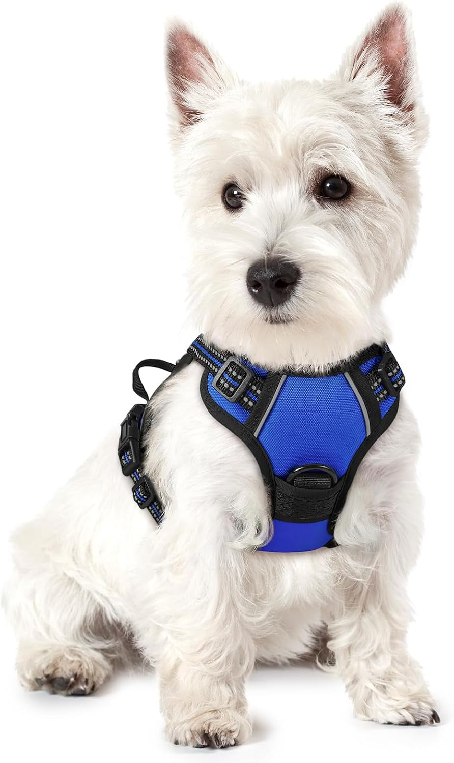 rabbitgoo-dog-harness-no-pull-for-large-dogs-with-2-leash-clips-pet-vest-no-choke-with-handle-adjustable-soft-padded-reflective-easy-control-for-walking-black-large