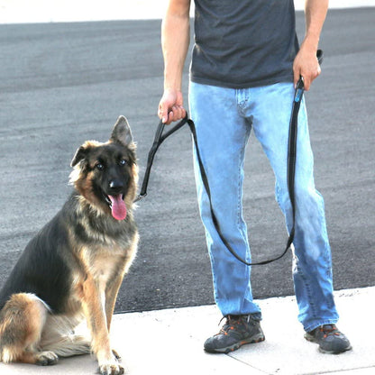 Max and Neo Double Handle Traffic Dog Leash - Reflective, Donates to Dog Rescue (Black, 6 FT)2