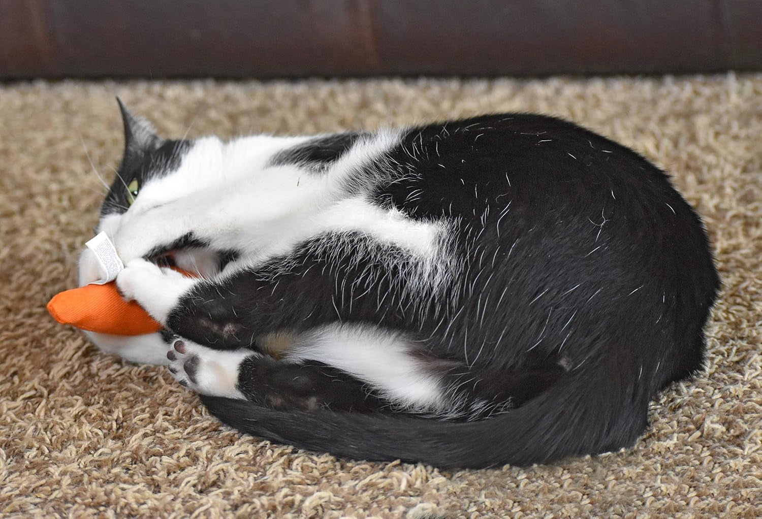 ourpets-100-percent-north-american-catnip-filled-carrot-cat-toy-24-karat