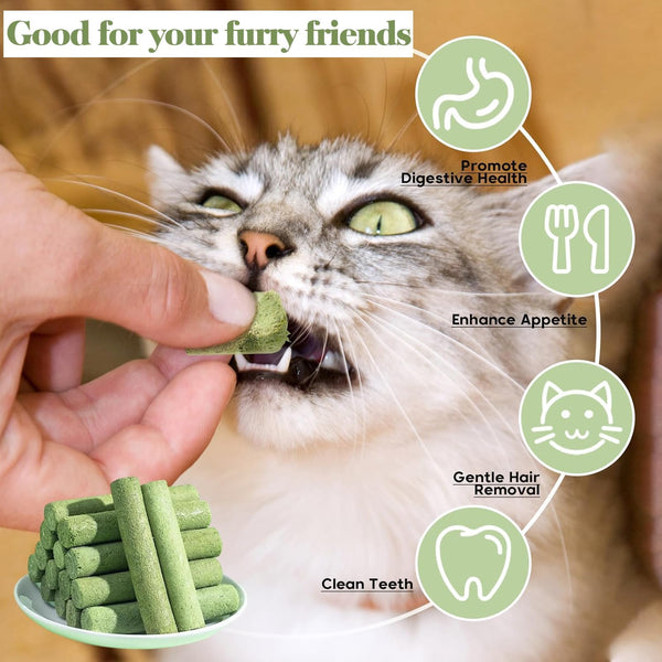30G Cat Grass Sticks, Freeze Dried Cats Grass Teething Stick, Edible Cat Chew Toy for Teeth Cleaning Dental Health and Hairball Removal4
