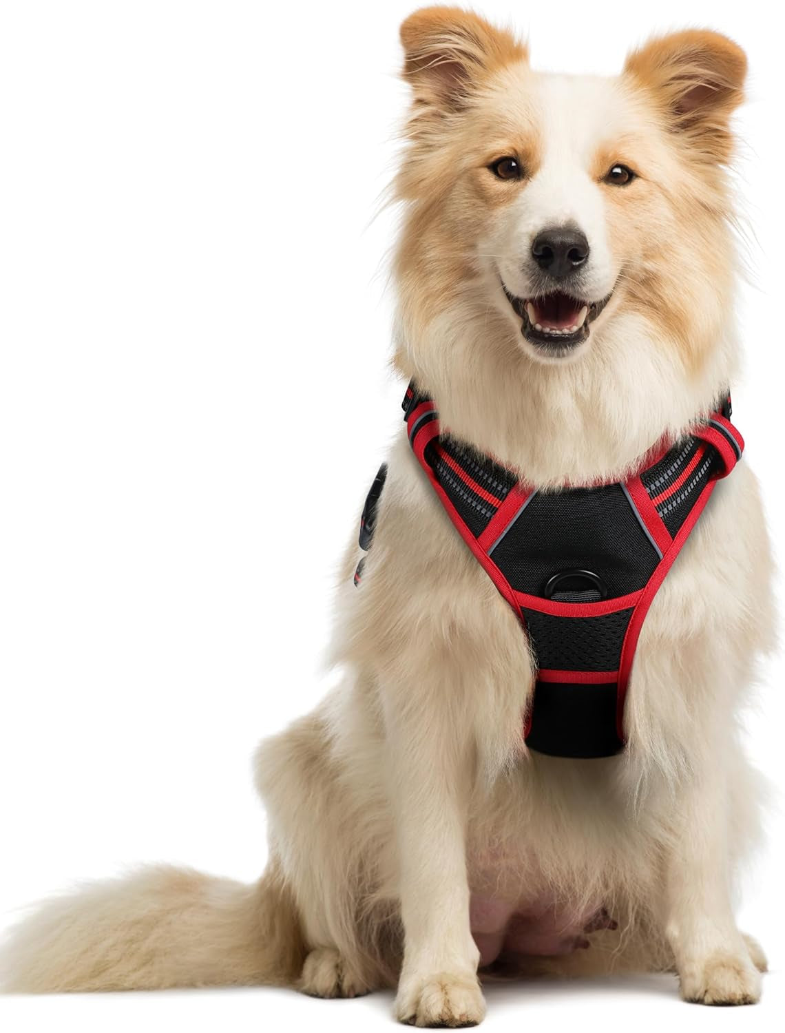 rabbitgoo-dog-harness-no-pull-for-large-dogs-with-2-leash-clips-pet-vest-no-choke-with-handle-adjustable-soft-padded-reflective-easy-control-for-walking-black-large