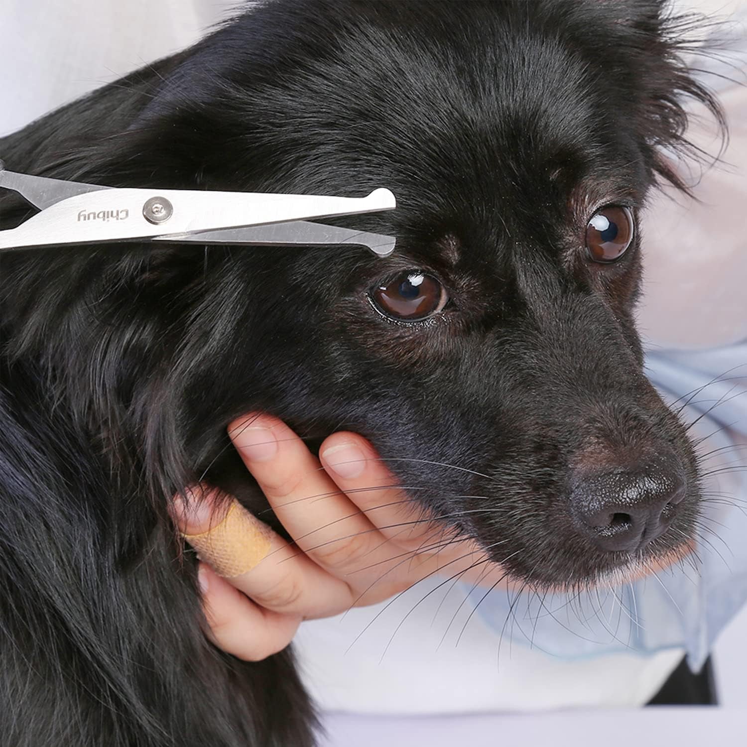 chibuy-professional-pet-grooming-scissors-with-round-tip-stainless-steel-dog-eye-cutter-for-dogs-and-cats-professional-grooming-tool-size-6-70-x-2-6-x-0-43-1-grey