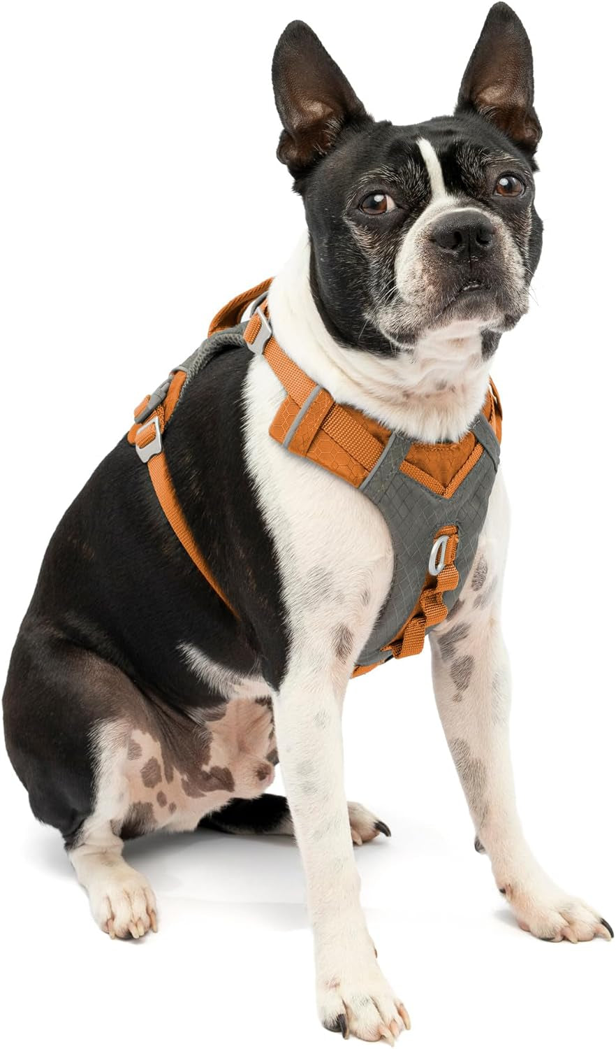 kurgo-journey-air-dog-harness-blue-small-padded-chest-ripstop-outer-breathable-mesh-back-assist-handle-rust-free-aluminum-hardware-reflective-trim