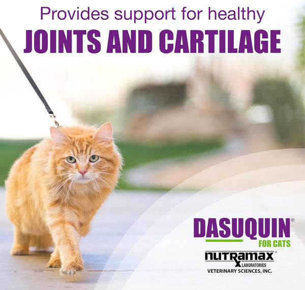 Nutramax Laboratories Dasuquin Joint Health Supplement for Cats - with Glucosamine, Chondroitin, ASU, Boswellia Serrata Extract, and Green Tea Extract, 84 Capsules | Cat Joint Support, Glucosamine + Chondroitin, ASU, Boswellia Serrata Extract & Green Tea Extract, All Ages & Sizes3