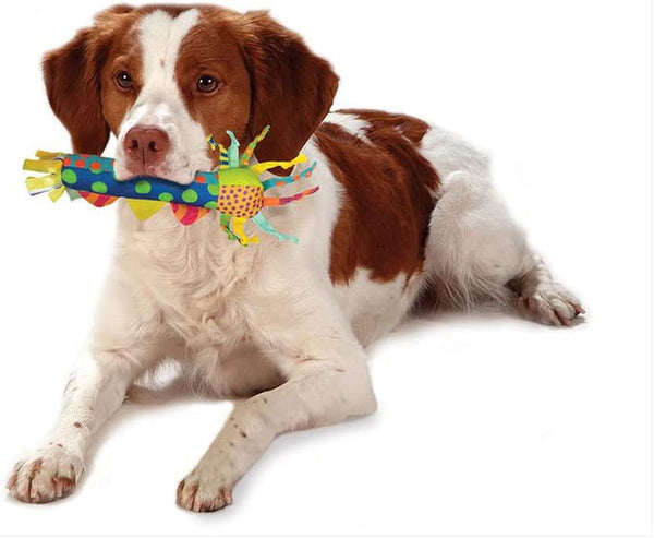 Cool Teething Stick – Puppy Chew Toy for 0–6 Month Puppies, Teething Relief, Freezable & Durable6