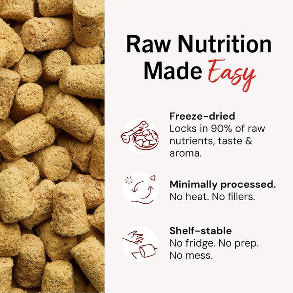 Stella & Chewy'S Freeze Dried Raw Meal Mixers – Crafted for Puppies – Grain Free, Protein Rich Perfectly Puppy Beef & Salmon Recipe – 3.5 Oz Bag6