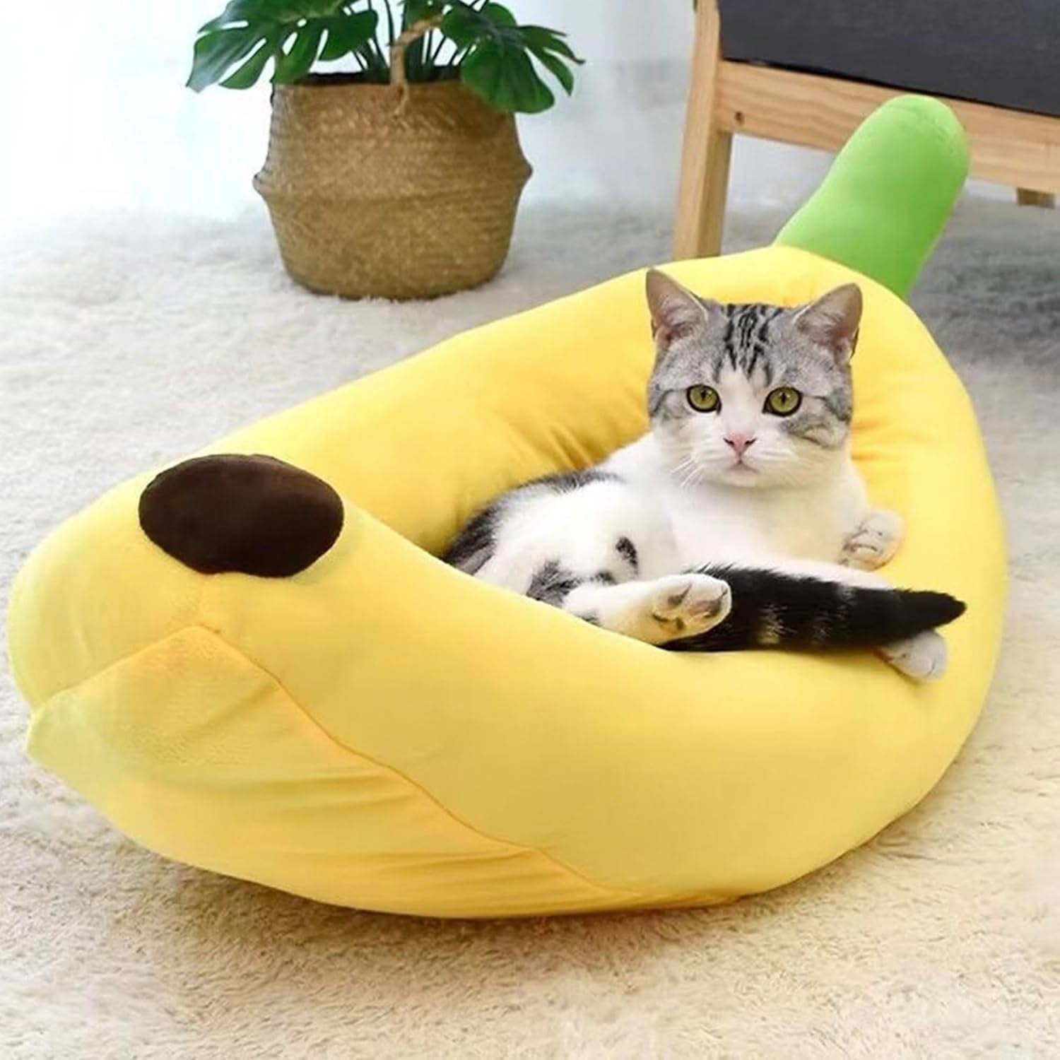 dog-cat-bed-for-indoor-cats-relaxing-banana-mattress-fluffy-pet-mattress-waterproof-memory-foam-pet-bed-with-sides-suitable-for-small-and-medium-sized-dogs-and-cats-guinea-pig-bed-small