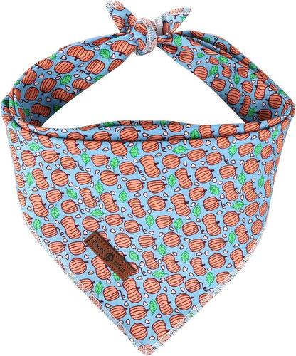 Lionet Paws Dog Bandana for Small Medium Large Dogs, Cat Kerchief Blue DOIT, Triangle Bibs Scarf for Girl or Boy42