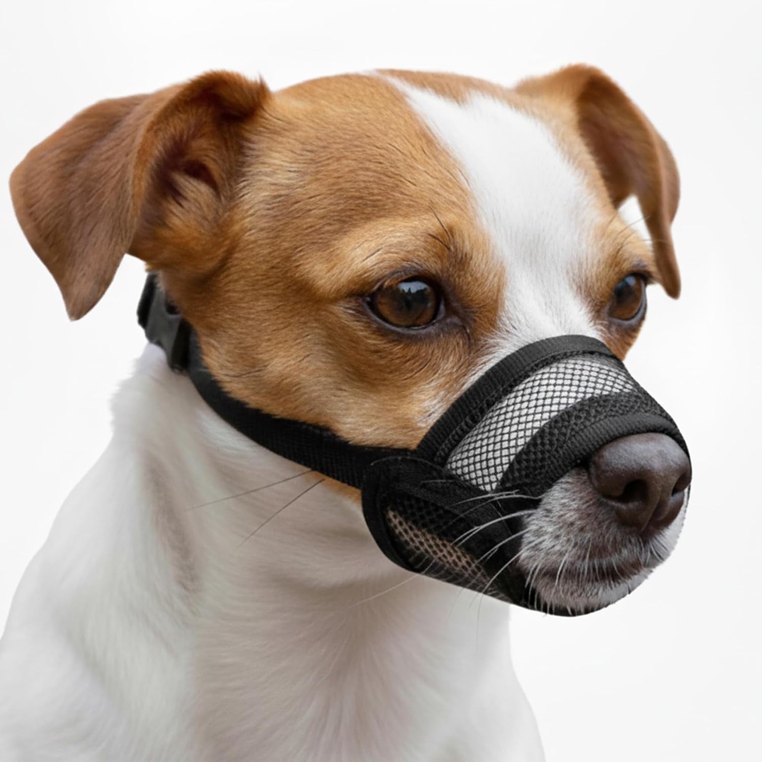 dog-muzzle-medium-sized-dogs-soft-muzzle-for-medium-sized-dog-with-air-mesh-mussle-to-stop-biting-barking-and-chewing-allows-panting-and-drinking