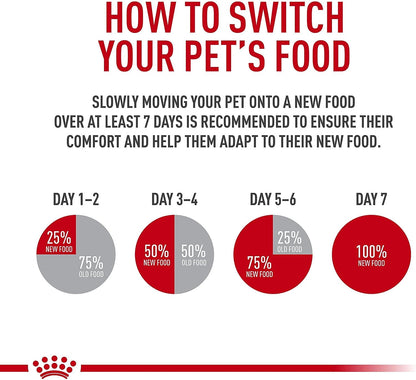 ROYAL CANIN Feline Health Nutrition Adult Instinctive Adult Loaf in Sauce Cat Food, 3 Oz (Pack of 24)6