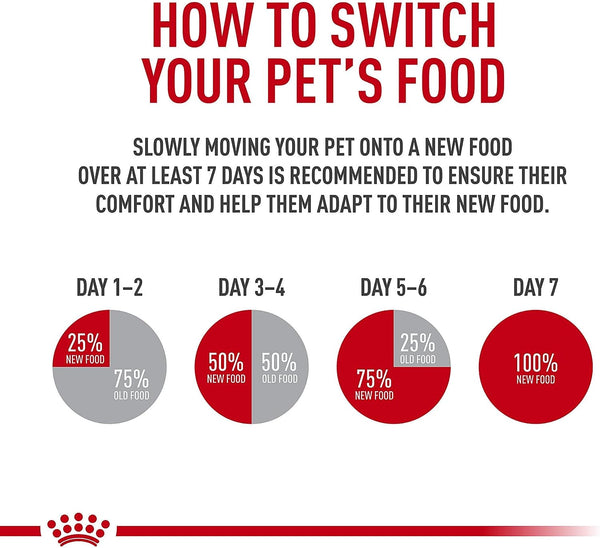 ROYAL CANIN Feline Care Nutrition Digestive Care Adult Thin Slices in Gravy Cat Food, 3 Oz (Pack of 24)9