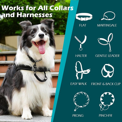 Petbonus Dog Collar Safety Clip, Handmade Prong Collar to Harness Connector | Dog Leash Backup Safety Strap, Escape Proof, Double Ended Clasp, Lead Connector for Pinch Collar, Harness (Black)3